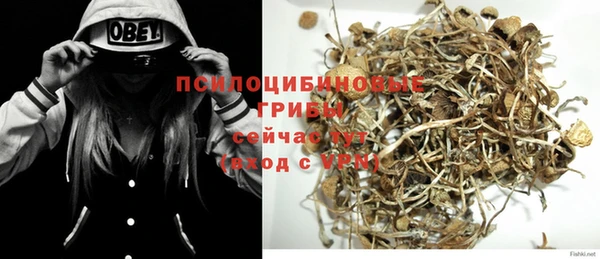 гашик Киренск