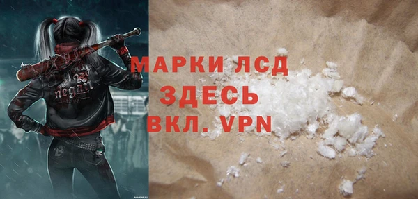 СК Елизово