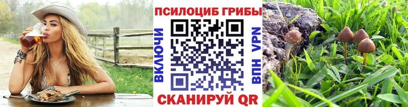 Галлюциногенные грибы Psilocybine cubensis ссылка на мегу ТОР Зверево даркнет сайт